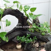 KHU VIP BÀU CÁT -TÂN BÌNH - HẺM  XE HƠI TRÁNH NHAU - NGANG ĐẸP 4M X 23M - CHỈ 150TR/ M2- CÓ 5 PHÒNG TRỌ
